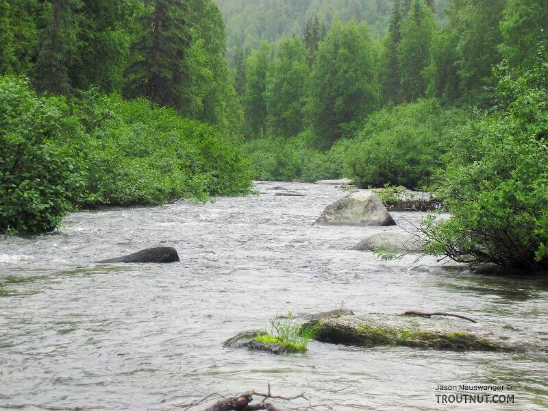 Byers Creek in Alaska