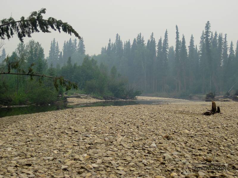 The Chena River in Alaska