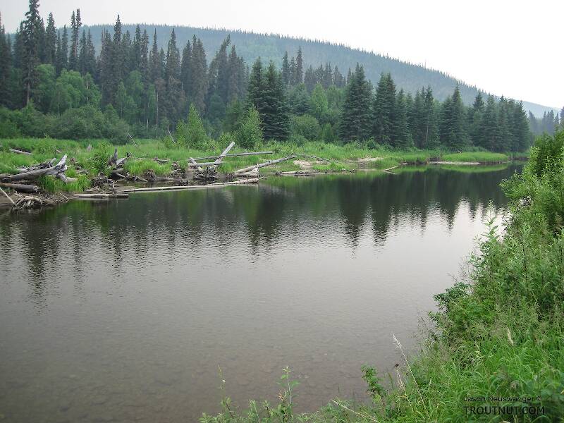 The Chena River in Alaska