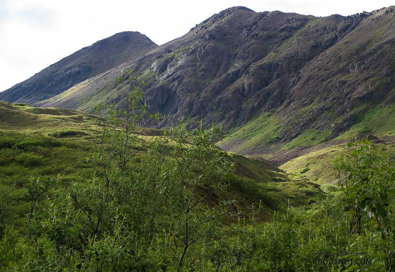 Looking up toward the pass we had to go through to start our second day hiking.

From Clearwater Mountains in Alaska
