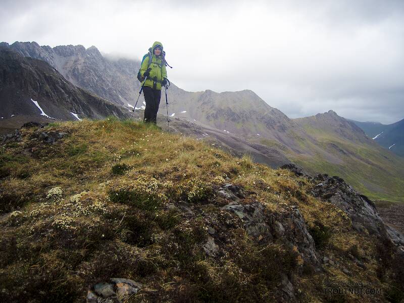 Lena at the top of the first pass we climbed through.

From Clearwater Mountains in Alaska