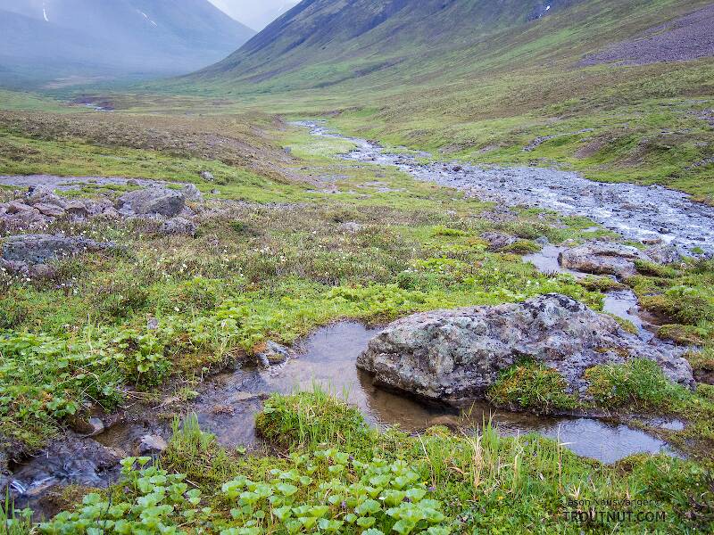 The South Fork of Pass Creek in Alaska