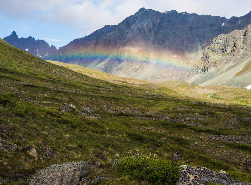 Rainbow over upper Alpine Creek

From Clearwater Mountains in Alaska