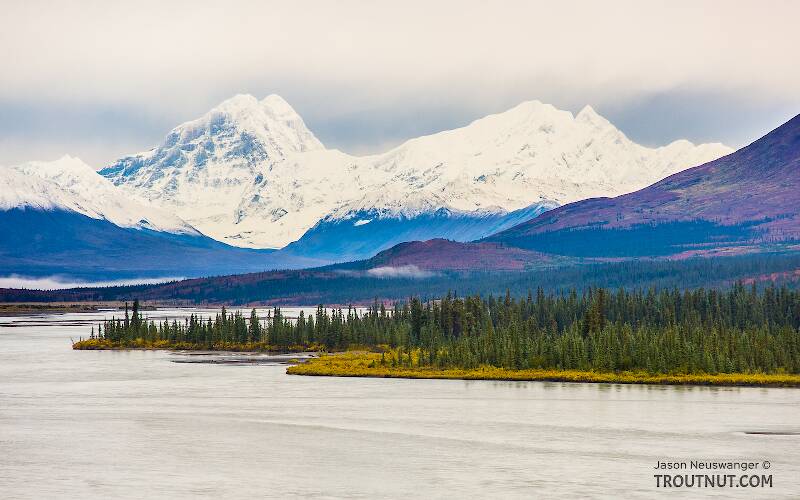 Alaska Range over the Susitna. Mount Deborah is on the left, and Hess Mountain is on the right.

From the Susitna River in Alaska