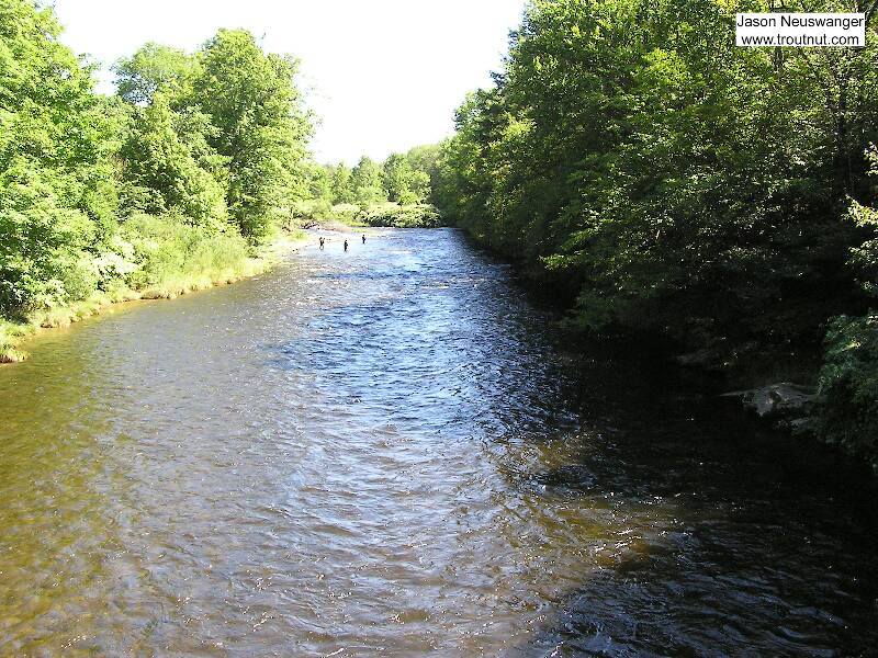 Willowemoc Creek in New York