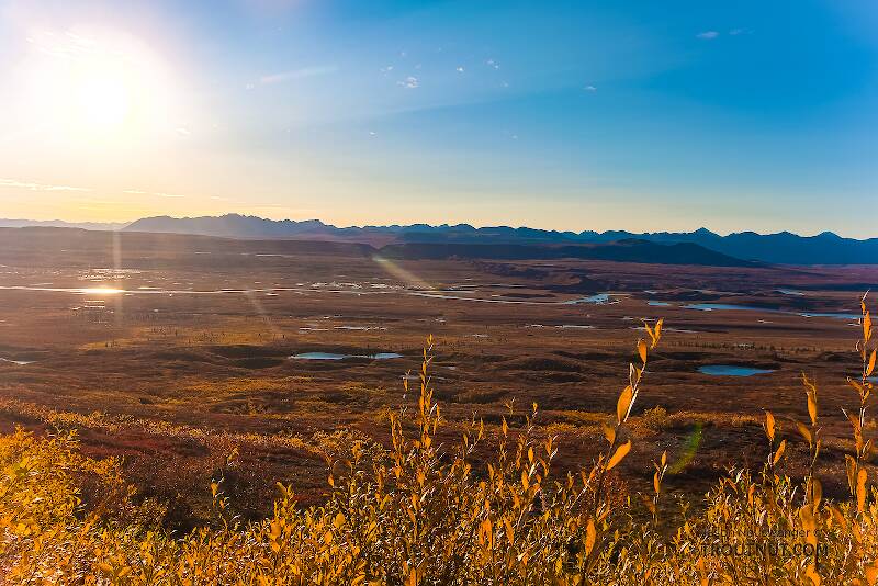 View west across the Maclaren River valley from Maclaren Summit. The Clearwater Mountains make up the highest part of the horizon near the sun.

From Denali Highway in Alaska