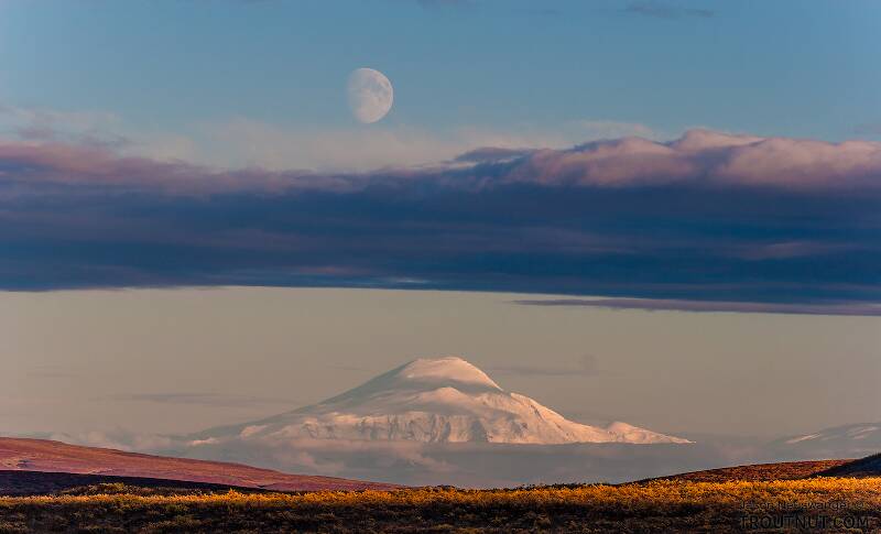 Moonrise over Mt Sanford. An unusually clear view of this mountain from 90 miles away on the Denali Highway

From Denali Highway in Alaska