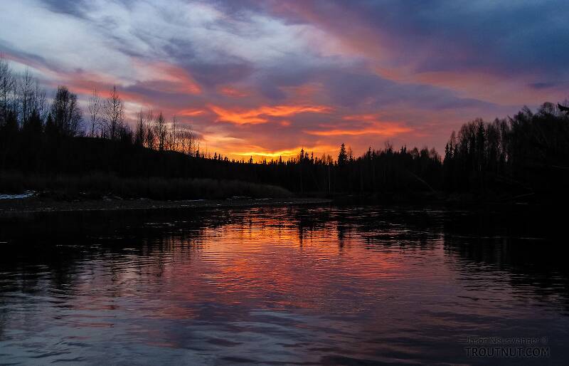 Beautiful sunset, just four or five "almost theres" from the car.

From the Chena River in Alaska