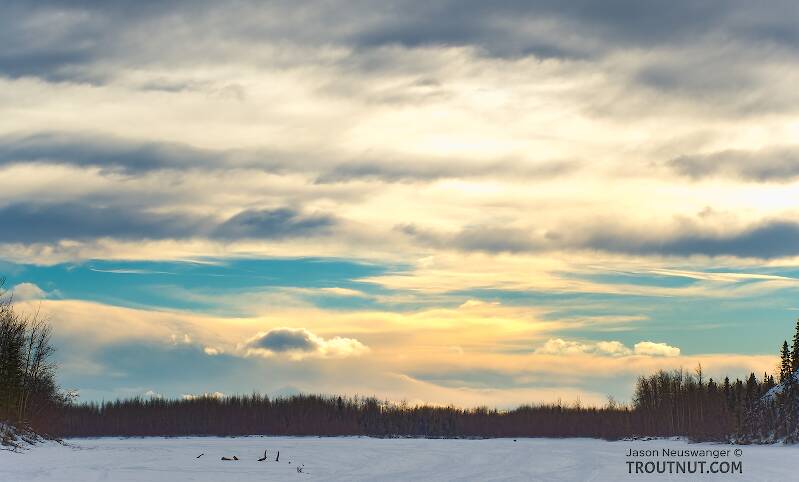 This was a typical late-winter sunset over the frozen Tanana River, a popular highway for mushers and skiiers outside of Fairbanks until the ice becomes unnavigable due to overflow sometime in April.

From the Tanana River in Alaska