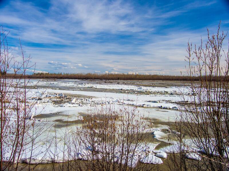 The last contiguous ice on the Tanana near town. On the right side of the photo, the river's original ice still extends all the way across. A rapid flow of water and ice is pushing in toward it from the left. Moments later, the original ice gave way and opened up a free-flowing channel packed with truck-sized icebergs.

From the Tanana River in Alaska