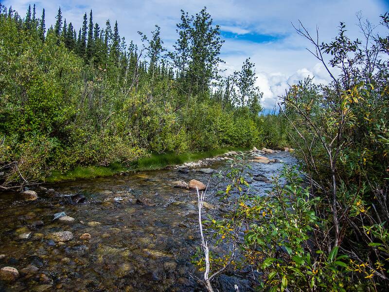 Mystery Creek # 170 in Alaska