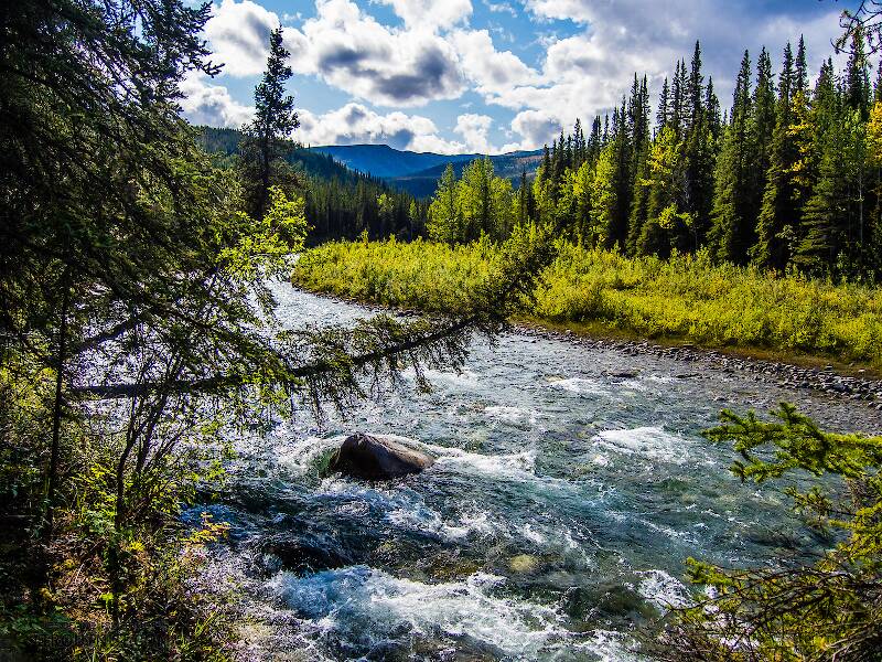 Riley Creek in Alaska