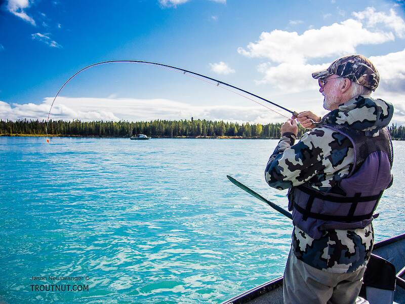 Dad playing a big fish

From the Kenai River in Alaska