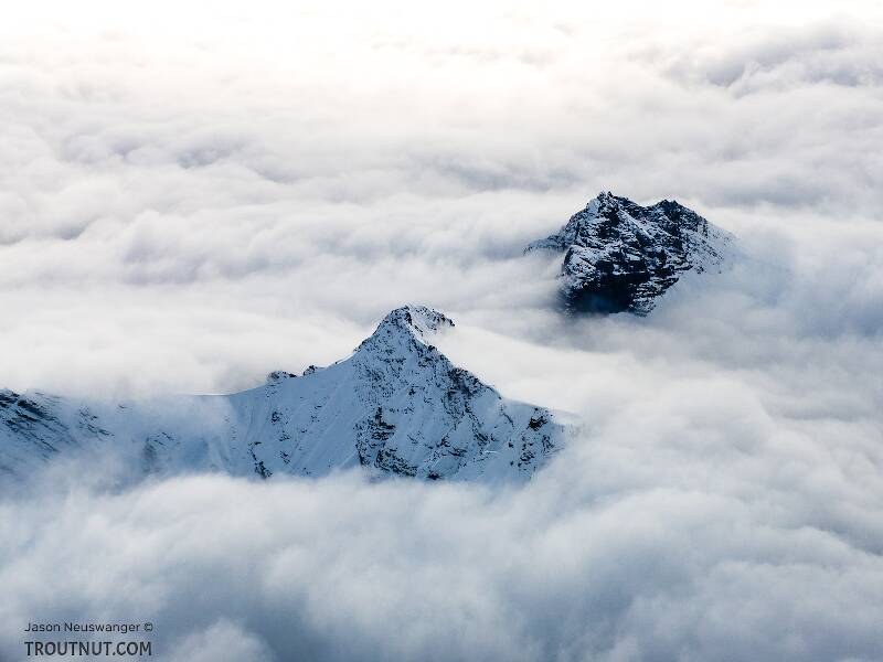 Small peaks poking through the clouds

From Denali National Park in Alaska