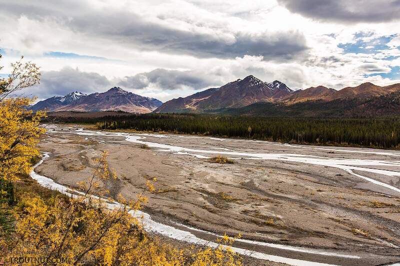 Teklanika River

From Denali National Park in Alaska