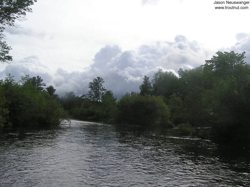 Thunderstorms threatened on this early July evening but they luckily kept missing me and the fishing was excellent.