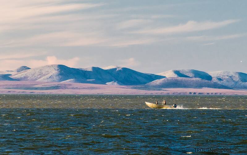 Boat in the Chukchi Sea

From Kotzebue in Alaska