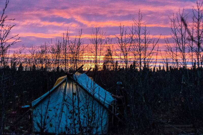 Sunset over USFWS sheefish camp

From the Selawik River in Alaska