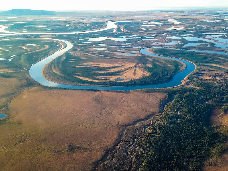 Braids in the Kobuk River delta

From the Kobuk River in Alaska
