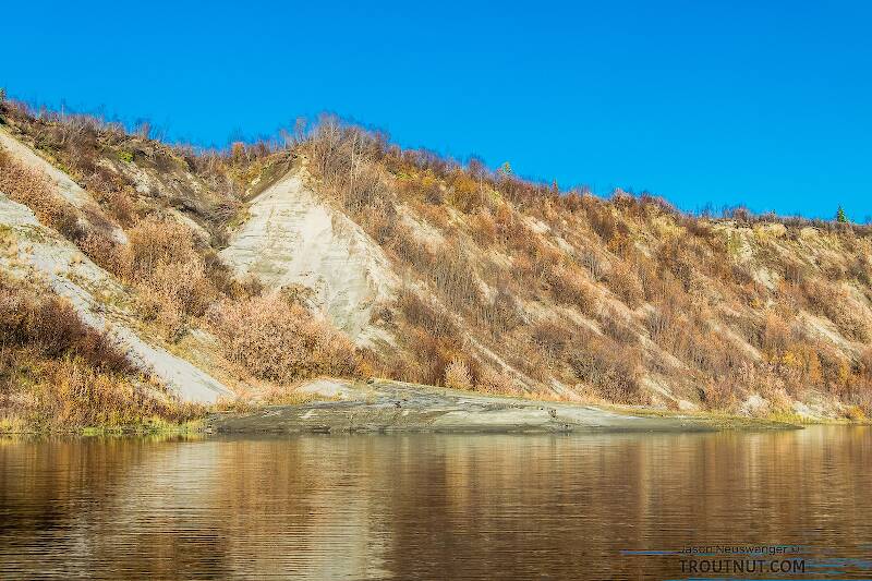 Recent permafrost slump

From the Selawik River in Alaska