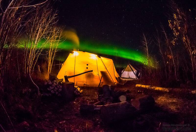 Aurora over the Arctic Oven tent at USFWS sheefish camp. Not pictured: the wolf howling in the background as I took this picture.

From the Selawik River in Alaska
