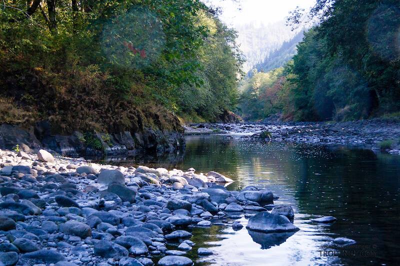 The Wilson River in Oregon