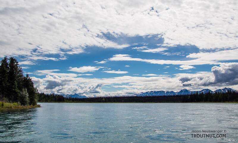 View to the Kenai Mountains from the river below Skilak Lake

From the Kenai River in Alaska