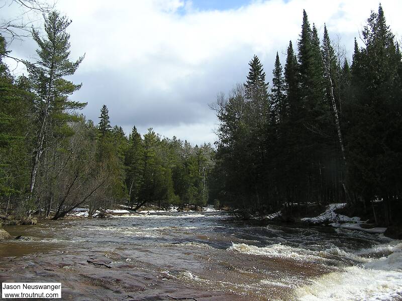 Spring rains have this steelhead river up and roaring.