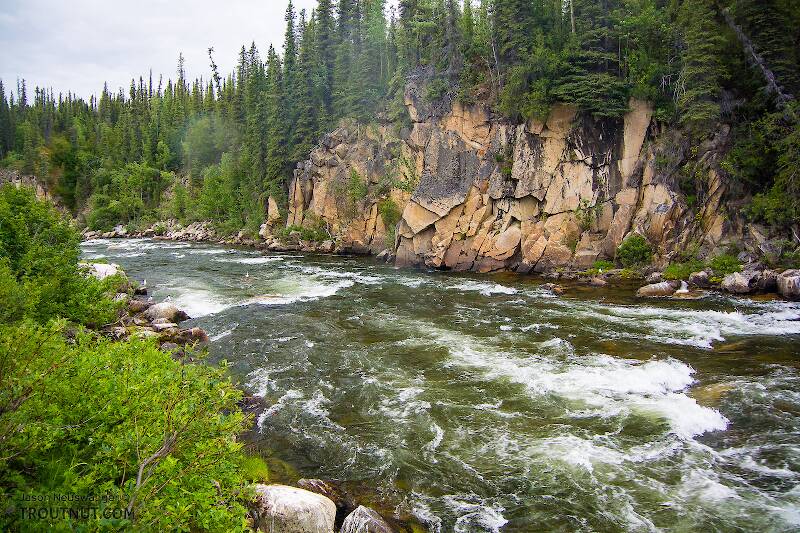 Canyon Rapids

From the Gulkana River in Alaska