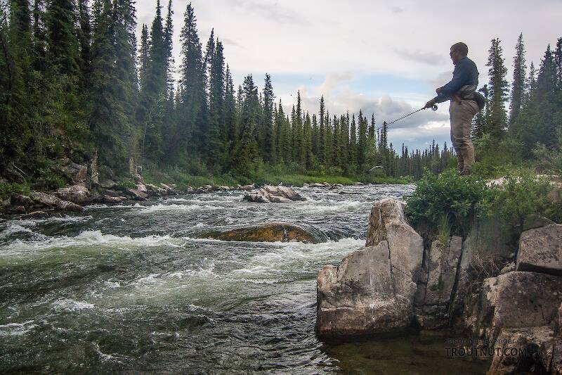Josh fishing a good hole

From the Gulkana River in Alaska