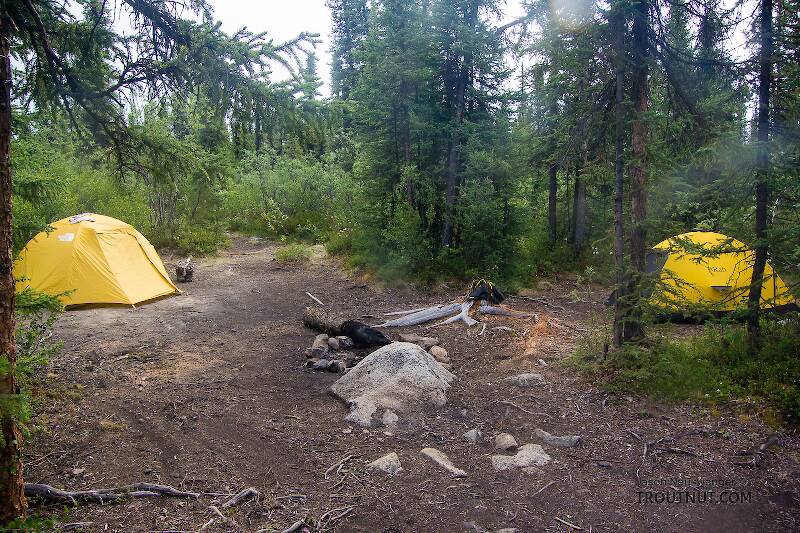 Our campsite. Although nobody in their right mind walks the trail we took in to the river, the fishing spot and campsite see quite a bit of traffic from people doing a popular 4-5 day float trip.

From the Gulkana River in Alaska