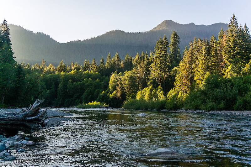 The South Fork Stillaguamish River in Washington