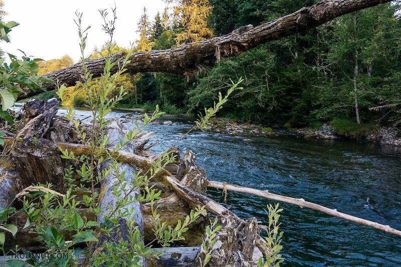 The North Fork Stillaguamish River in Washington