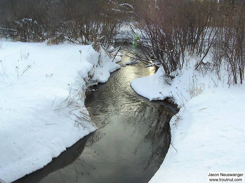 This tiny spring creek is extremely fertile, and I sampled many interesting insects I didn't find anywhere else.  The water was completely open even though other nearby spring creeks were frozen over and the snow was three feet deep.

From Schacte Creek in Wisconsin