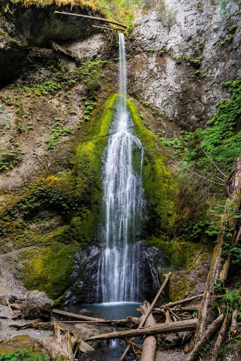 Marymere Falls is on a tributary of Barnes Creek. It's a massive tourist magnet. There was a group of people every 50-100 yards on the well-trodden trail to and from this falls, which is the first part of the access to Barnes Creek.

From Barnes Creek in Washington