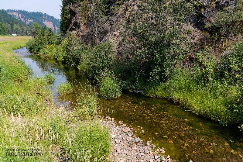 Tepee Creek in Idaho