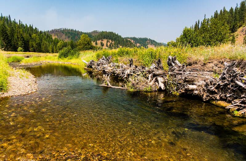 Tepee Creek in Idaho