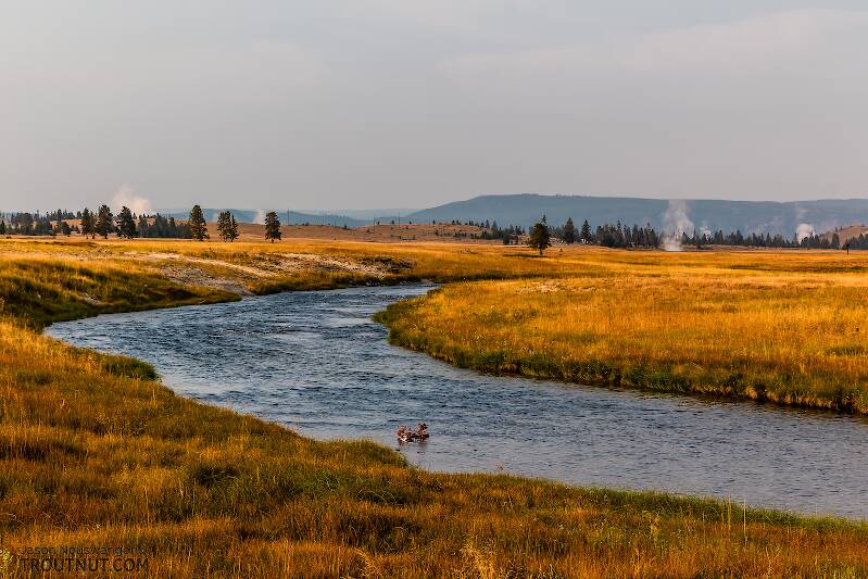 The Firehole River in Wyoming