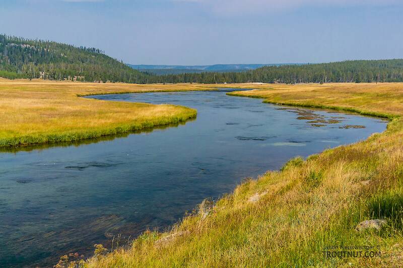 The Firehole River in Wyoming