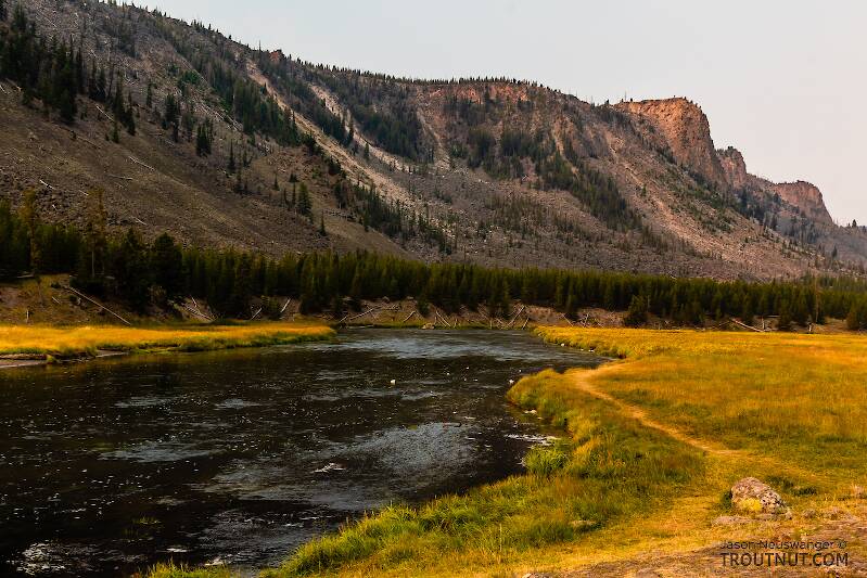 The Madison River in Wyoming