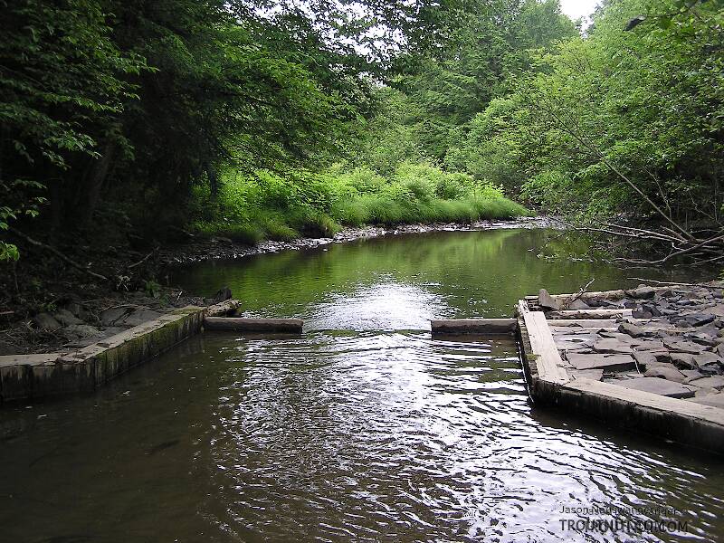 The NY DEC has installed these trout habitat improvements on a small upstate stream.  I found that most fish in the stream orient to them.

From the West Branch of Owego Creek in New York