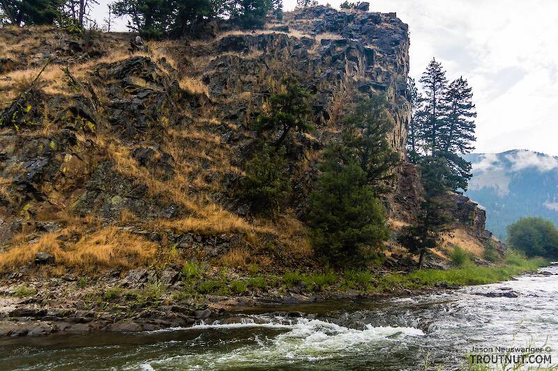 Rock Creek in Montana