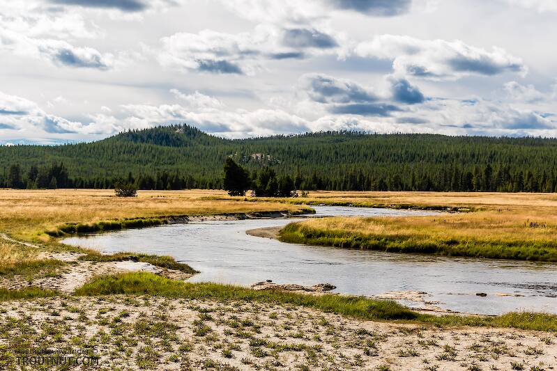 The Gibbon River in Wyoming