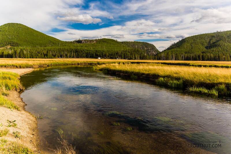 The Gibbon River in Wyoming