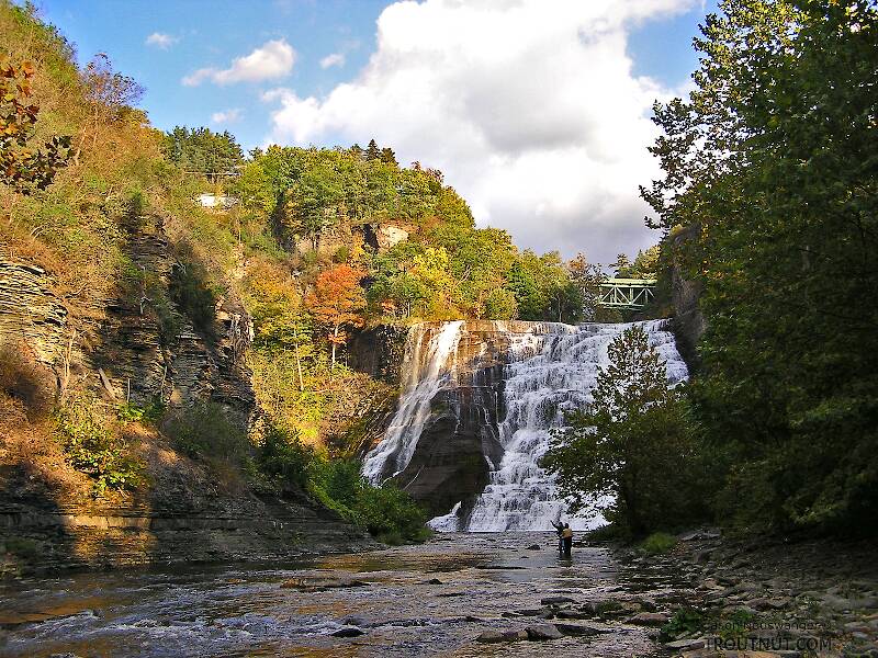 This waterfall is less than half a mile from the Cornell University campus.

From Fall Creek, Ithaca Falls in New York