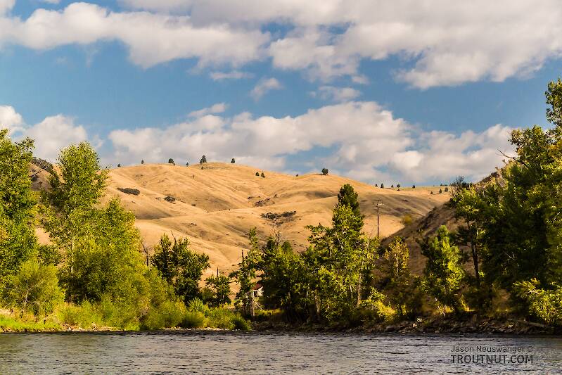 The Bitterroot River in Montana