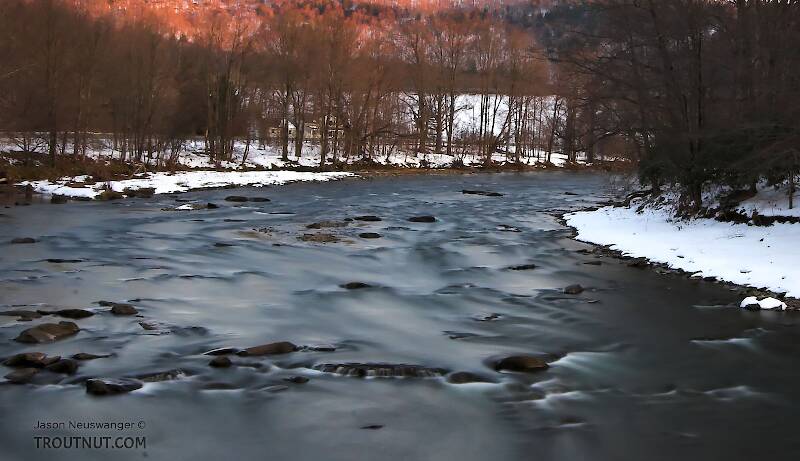 The Beaverkill River in New York