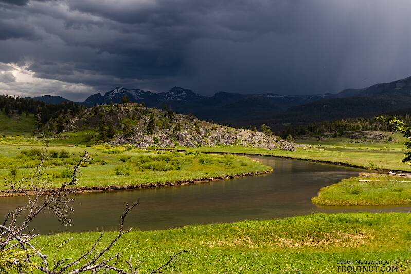 We were lucky to be able to fish through this storm as it skirted around us to the north, giving us just enough clouds to prompt a BWO hatch but keeping the lighting at a safe distance.

From Slough Creek in Wyoming