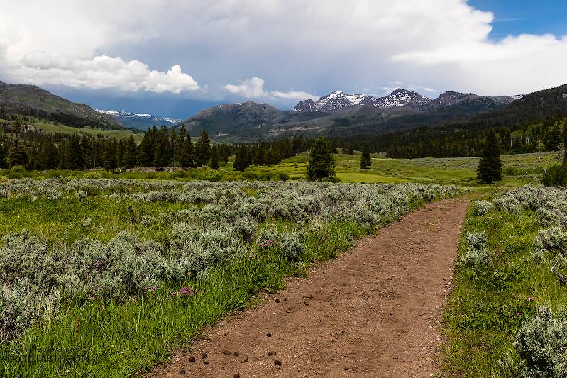 The trail up Slough Creek is one of the most well-trodden in the Yellowstone backcountry, but it still didn't feel crowded at all once we got beyond the first meadow.

From Slough Creek in Wyoming