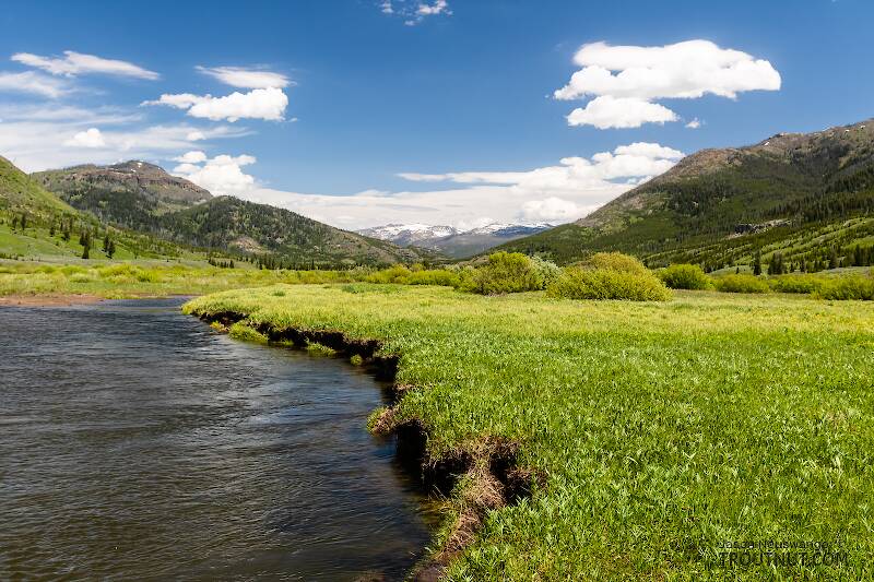 Slough Creek in Wyoming